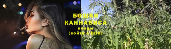 Альфа ПВП Бородино