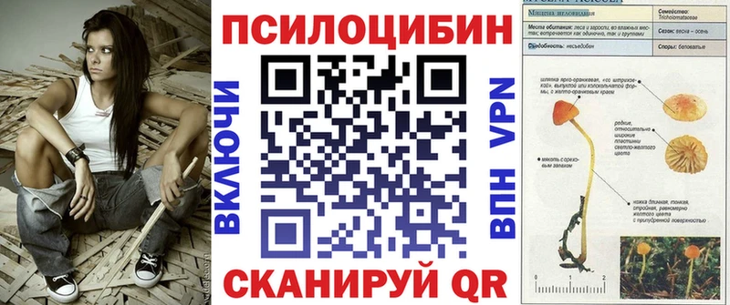 наркота  Брянск  Псилоцибиновые грибы Psilocybine cubensis 